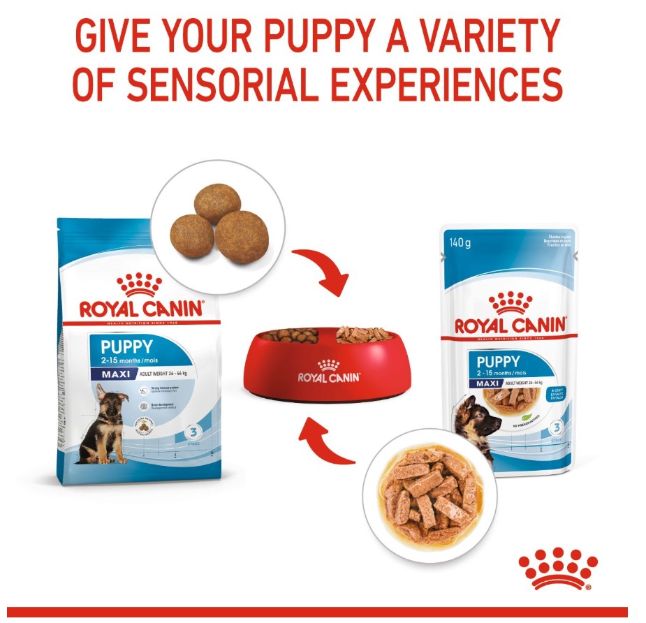 Влажный корм для щенков Royal Canin Maxi Puppy (соус)