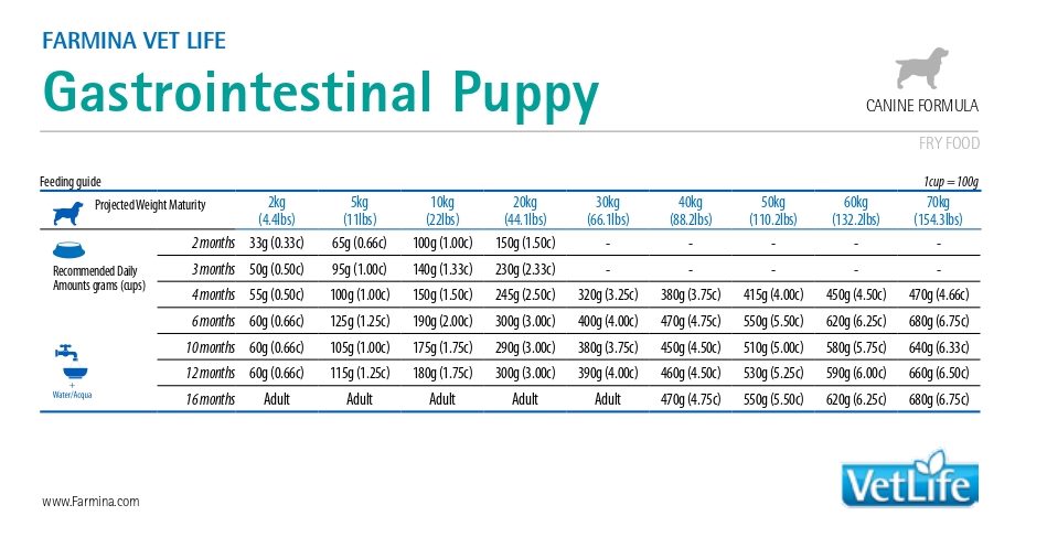 Диетическое питание Сухой корм для щенков Farmina Vet Life Dog GastroIntestinal Puppy 