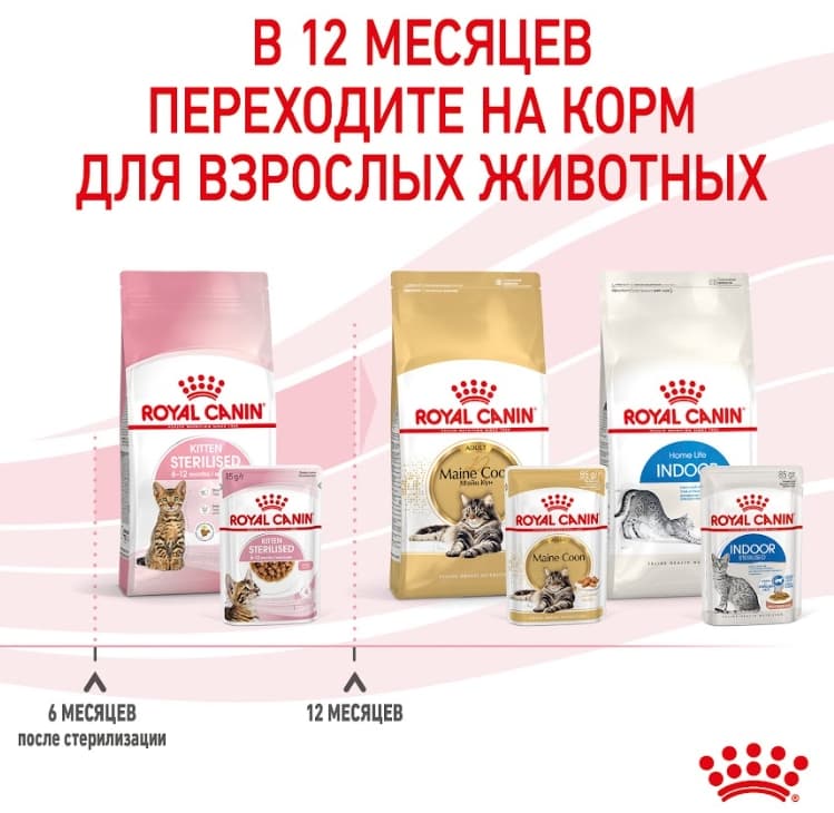 Паучи для котят Royal Canin Kitten Sterilized в соусе 