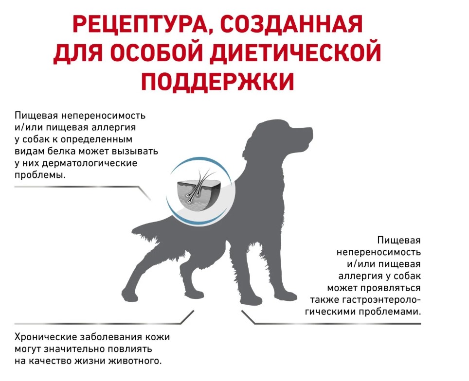 Каталог Сухой корм для собак Royal Canin Skintopic для собак