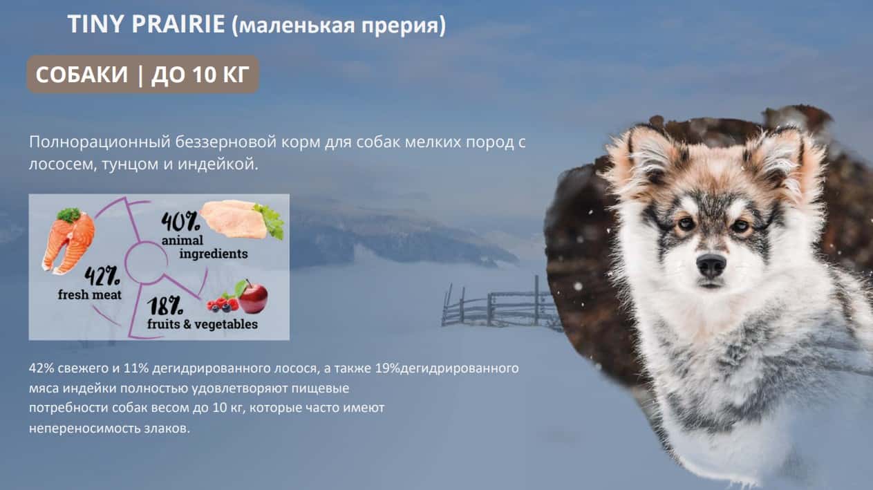 Еда для мелких собак Сухой корм для собак Natura Wild Small DOG Tiny Prairie (лосось, тунец, индейка)