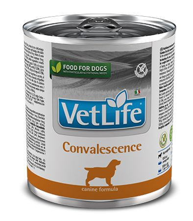 Консервы для собак Farmina Vet Life Dog Convalescence 300 гр