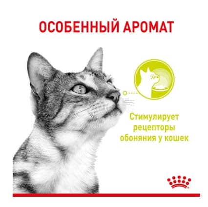 Влажное питание для кошек Royal Canin Sensory Smell (соус)