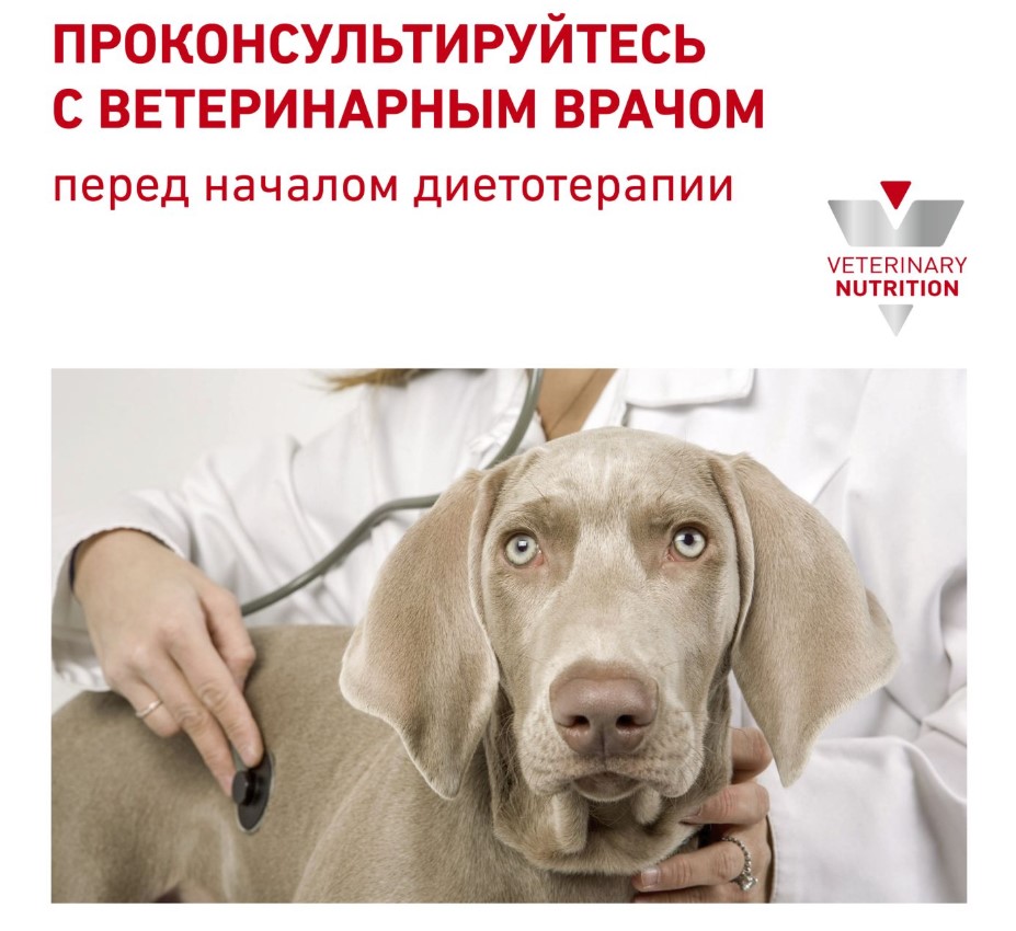Сухой корм для собак Royal Canin Renal Select