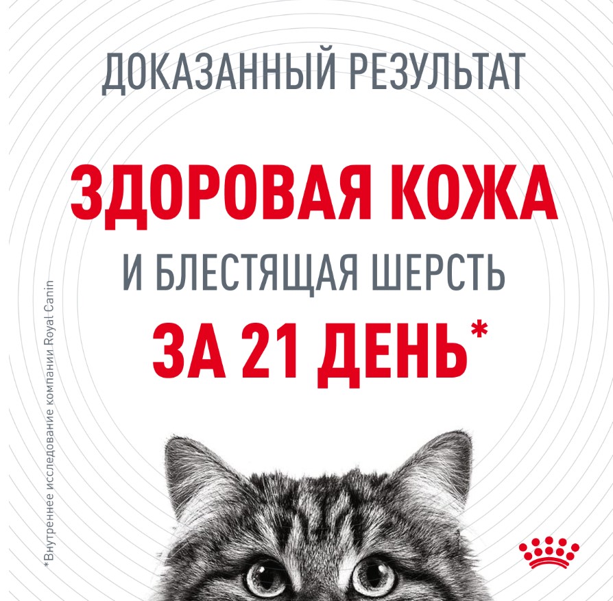 Сухой корм для кошек Royal Canin Hair & Skin Care