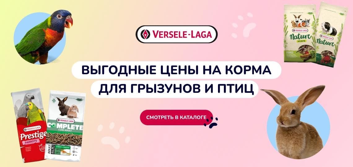 Зоотовары в интернет-магазине в Минске - купить товары для животных