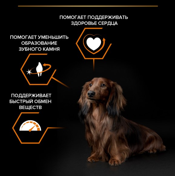 Каталог Сухой корм для собак Pro Plan EVERYDAY NUTRITION Small & Mini Adult (курица) для собак