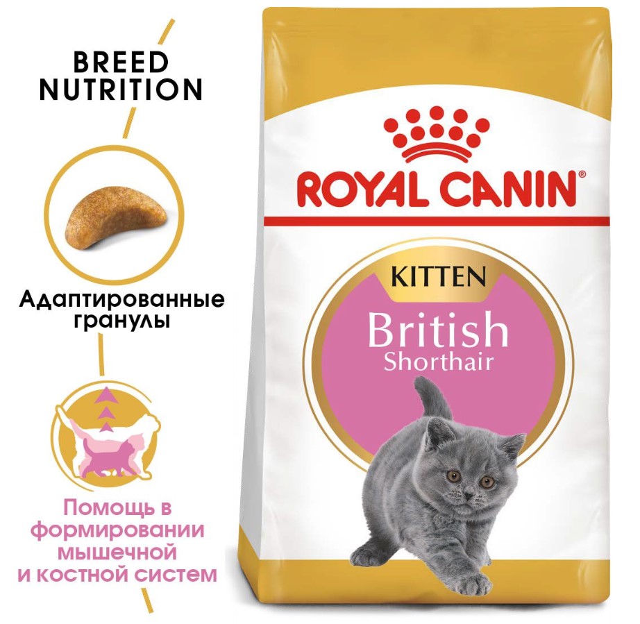 Сухой корм для котят Royal Canin British Shorthair Kitten