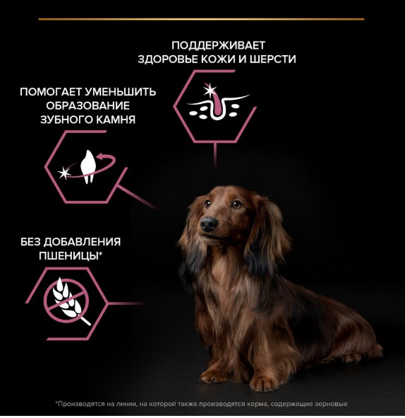 Каталог Сухой корм для собак Pro Plan SENSITIVE SKIN Small & Mini Adult (лосось) для собак
