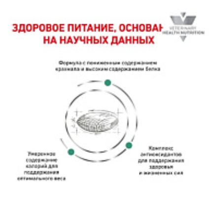 Ветеринарный корм для собак Сухой корм для собак Royal Canin Diabetic Canine