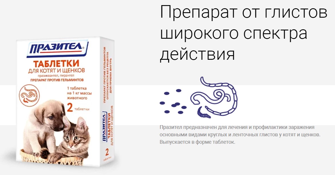 Празител таблетки от глистов для котят и щенков