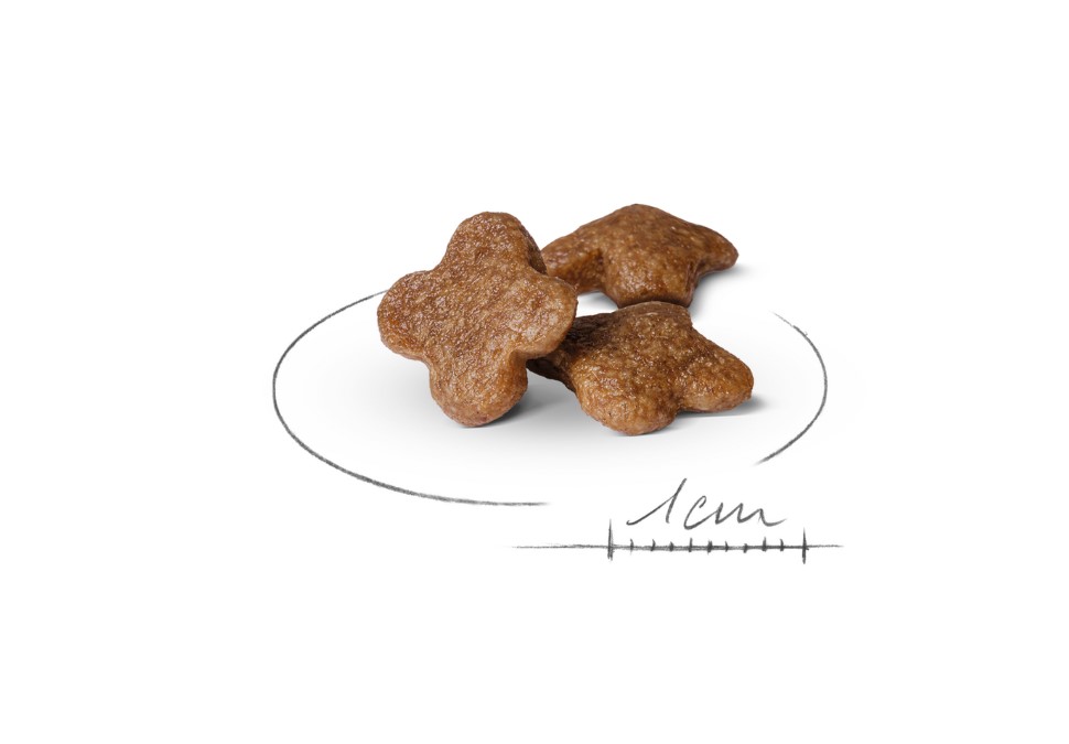 Каталог Сухой корм для собак Royal Canin Mini Adult 8+ для собак