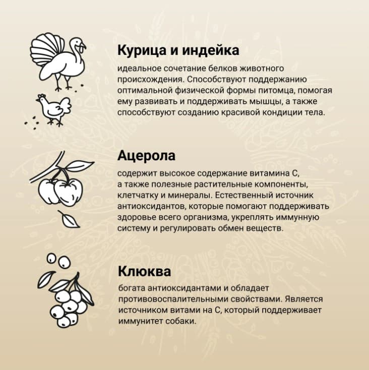 Рацион для собак Мини пород CRAFTIA NATURA Adult Mini (курица, индейка)