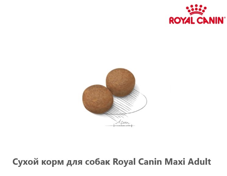 Каталог Сухой корм для собак Royal Canin Maxi Adult для собак