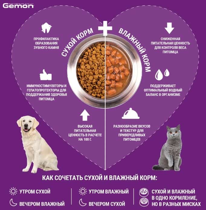 Влажная еда для кошек Gemon Cat Adult (говядина, овощи)