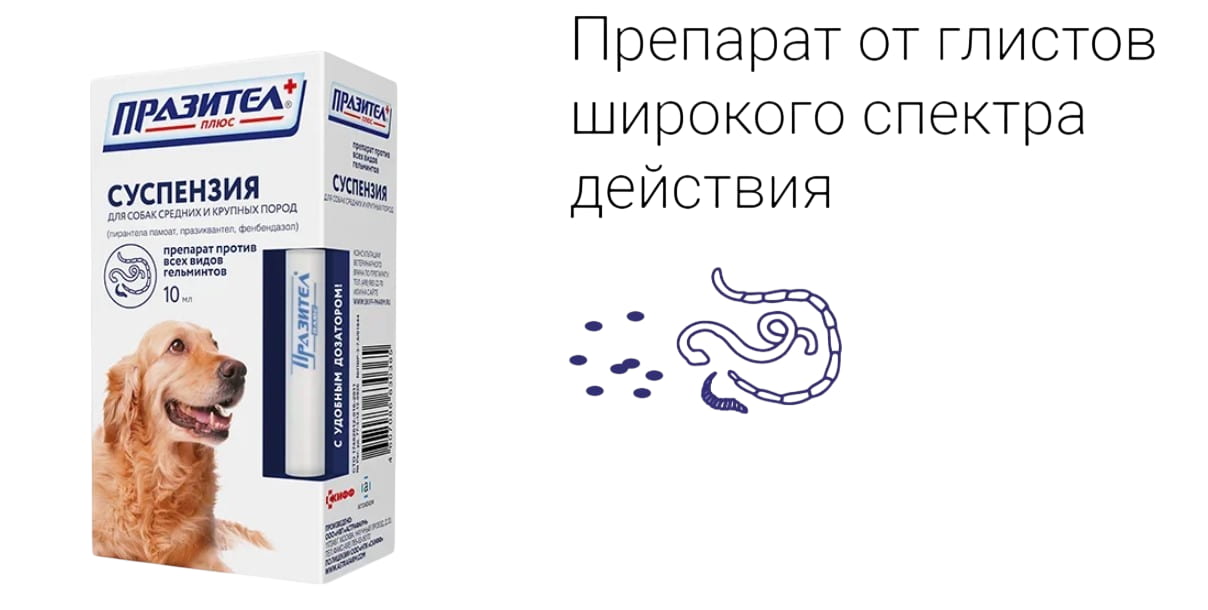 Празител Плюс суспензия, препарат от глистов для собак средних и крупных пород