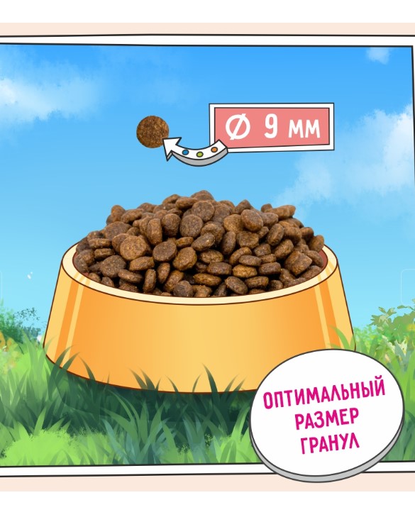 Сухой корм для кошек ZILLII Hairball Control Adult Cat (индейка, утка)