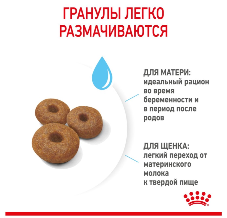 Каталог Сухой корм для щенков Royal Canin Maxi Starter для собак
