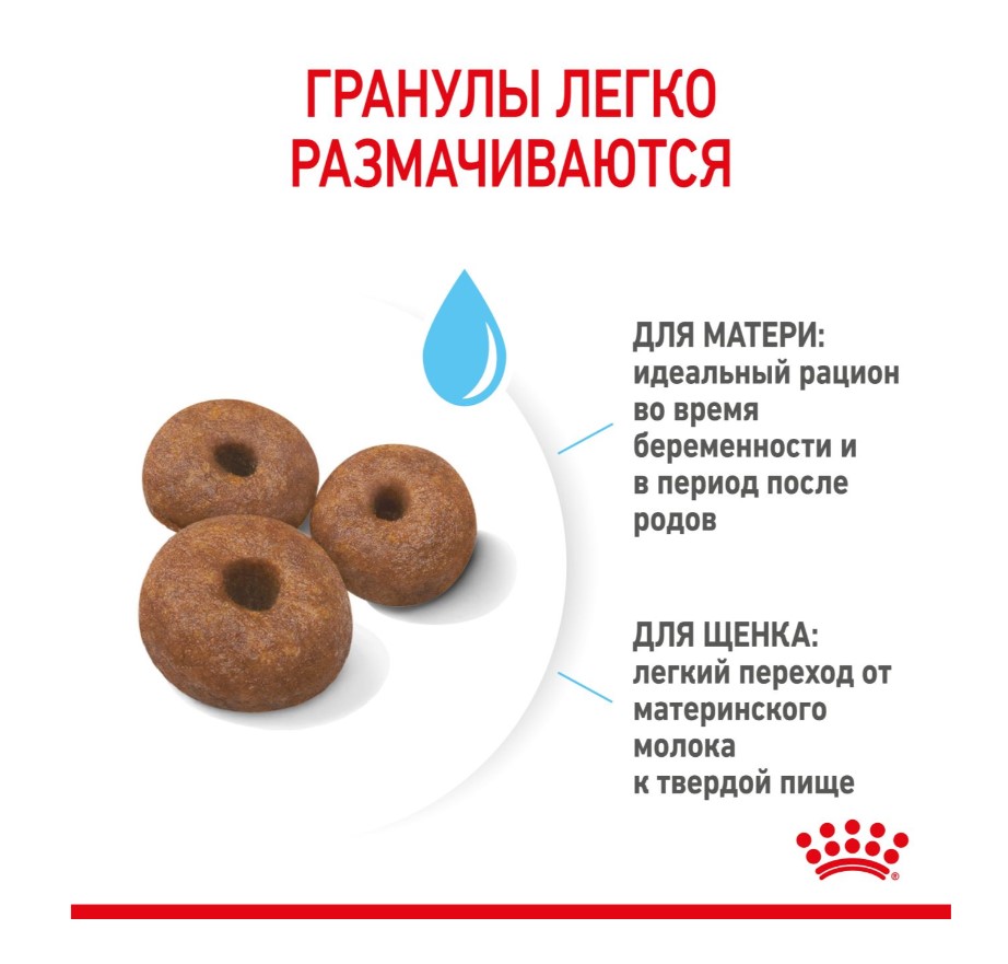 Еда для щенков Сухой корм для щенков Royal Canin Giant Starter
