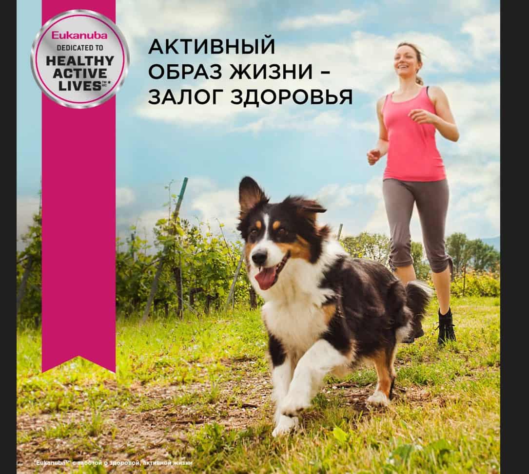 Каталог Сухой корм для собак Eukanuba Adult Small Breed (птица) для собак