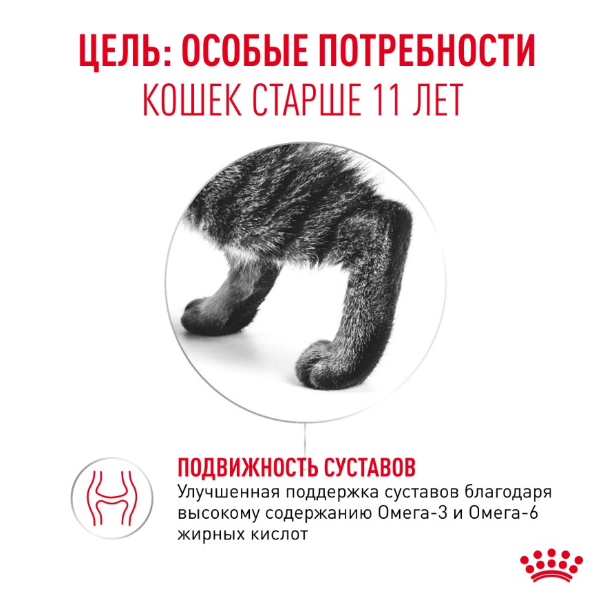 Влажный корм для пожилых кошек Royal Canin Ageing 11+ (кусочки в желе)
