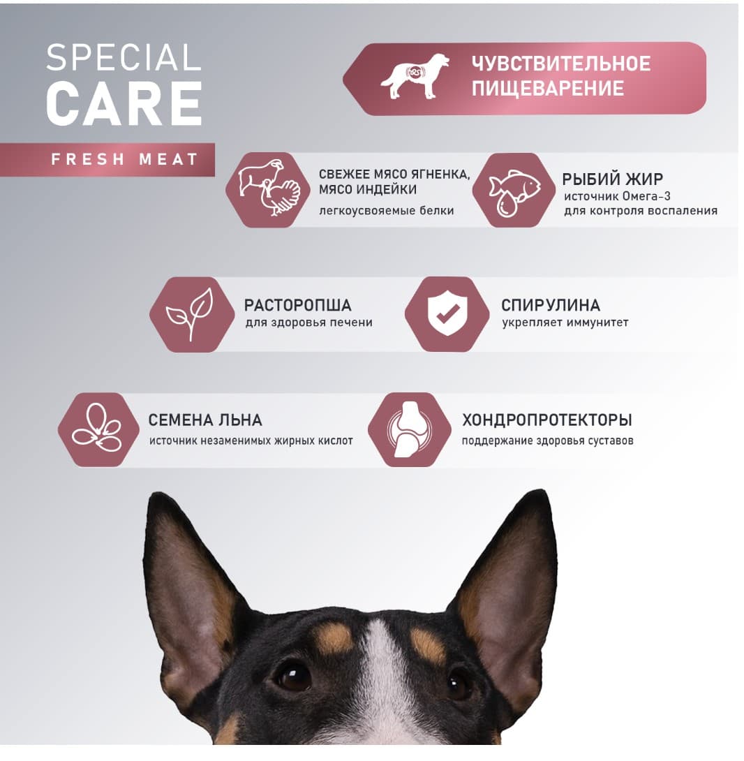Каталог Сухой корм для собак Award Special Care Sensitive Digestion Adult Dog (ягненок) для собак