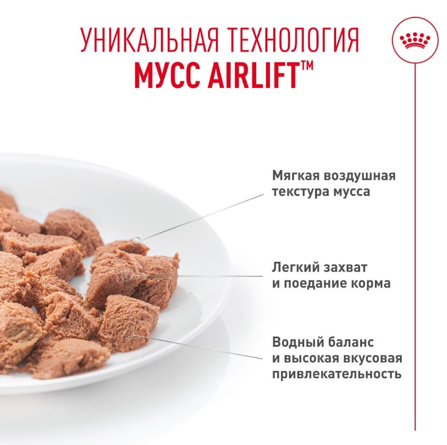 Влажный корм для кошек Royal Canin Appetite Control Care AirLift мусс