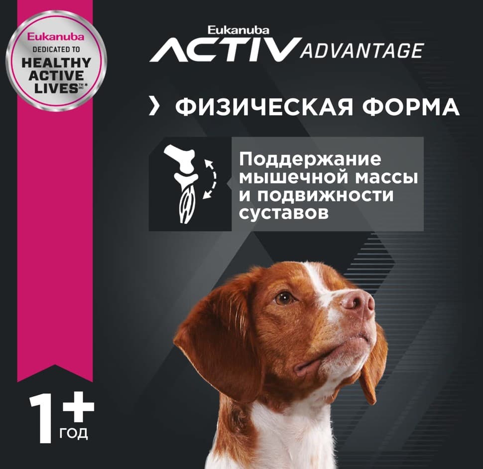 Пища для собак средних породСухой корм для собак Eukanuba Adult Medium Breed (птица)