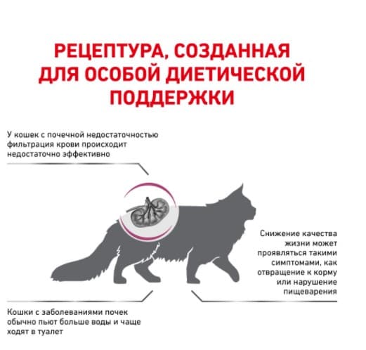 Сухой корм для кошек Royal Canin Renal Special
