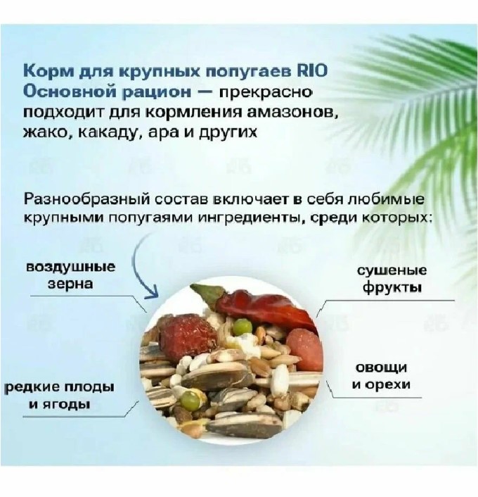 Корм для крупных попугаев RIO