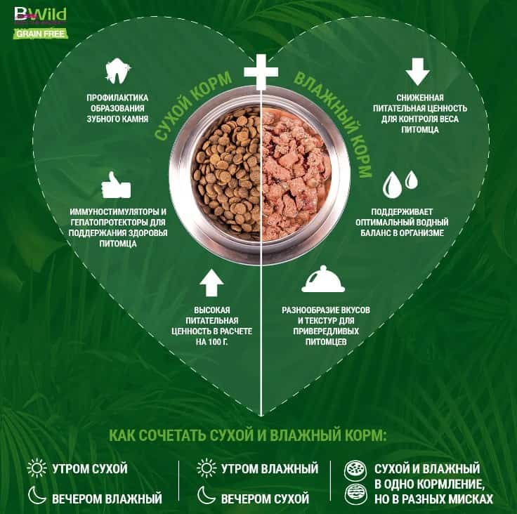 Влажная еда для кошек Monge Cat BWild Grain Free Codfish (лосось, овощи)