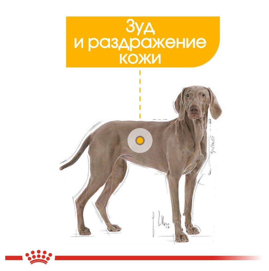 Каталог Сухой корм для собак Royal Canin Maxi Dermacomfort для собак