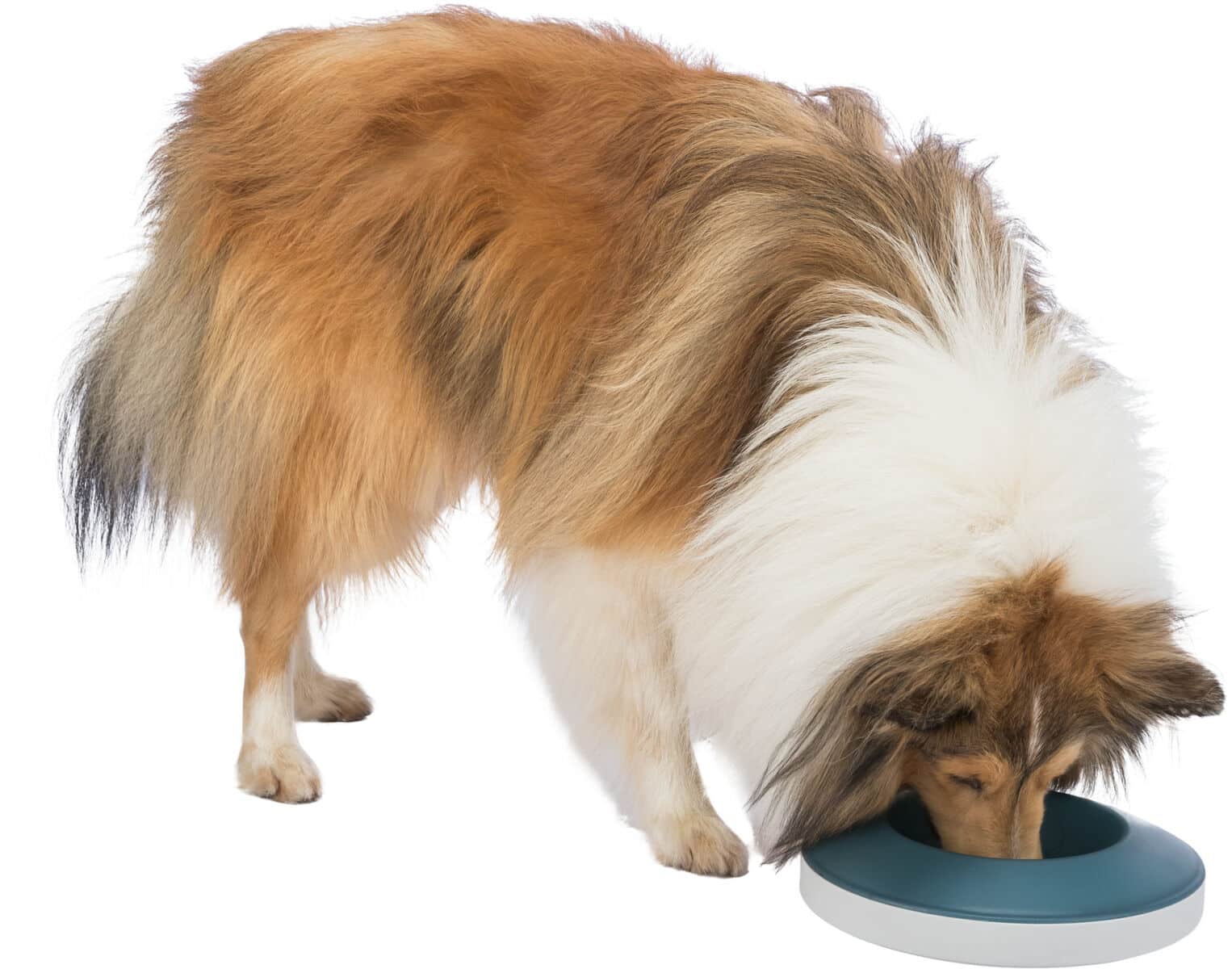 Миска для медленного кормления собак TRIXIE Rocking Bowl