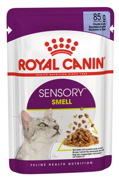 Консервированный корм для кошек Royal Canin Sensory Smell (желе)