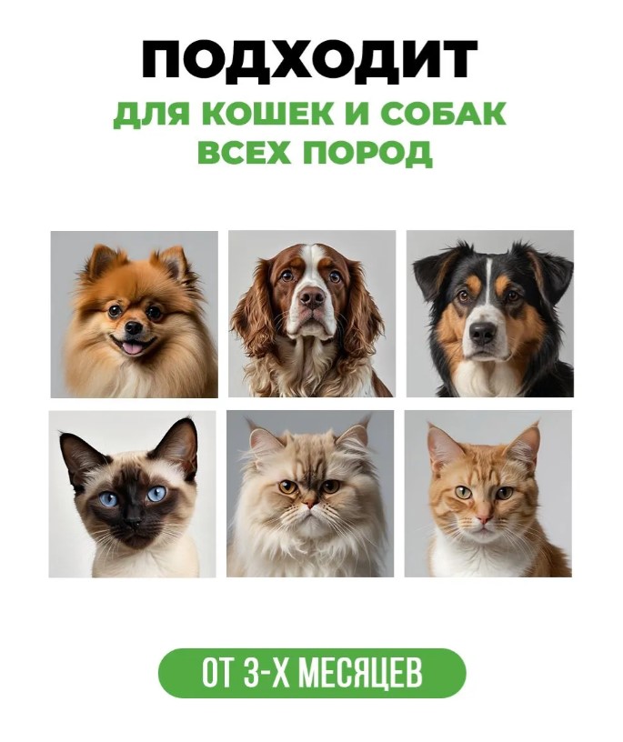 Шампунь для собак и кошек всех пород, с хлоргексидином "Spets"