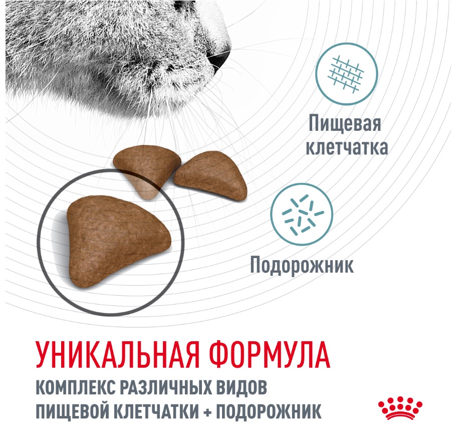 Сухой корм для кошек Royal Canin Hairball Care