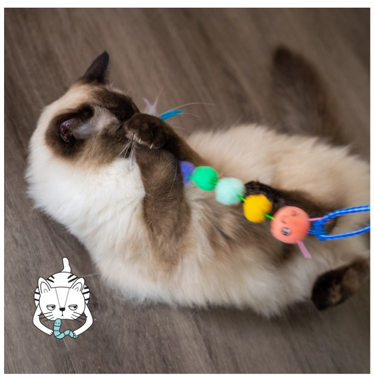Игрушка для кошек Catstages Гусеничка дразнилка с кошачьей мятой