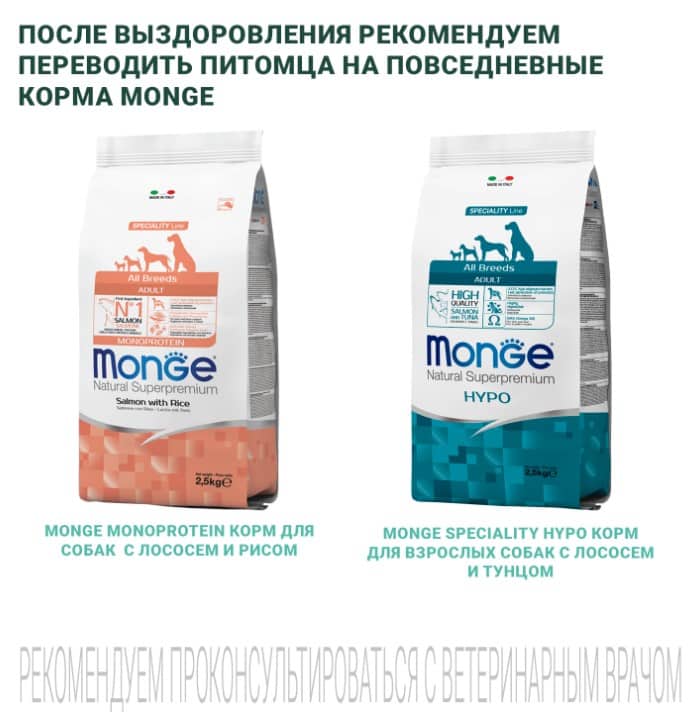 Лечебное питание для собак Monge VetSolution Diabetic Dog