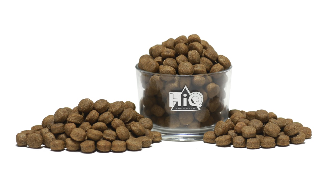 Сухой корм для собак HiQ Adult All Breed (лосось)