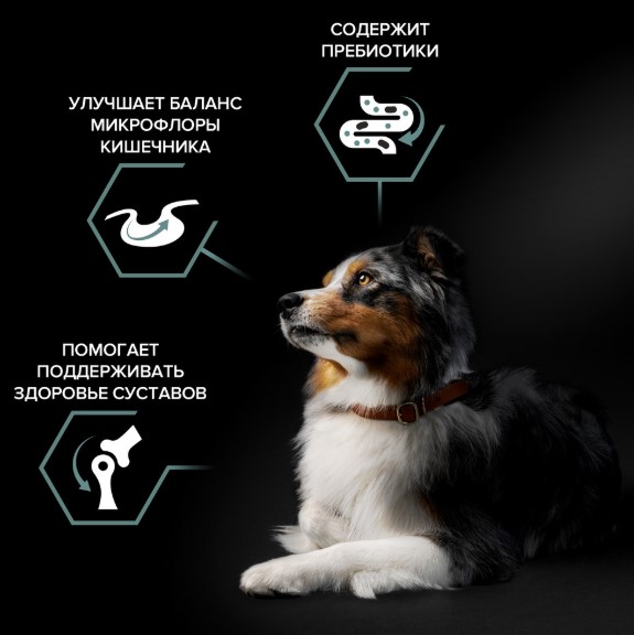 Сухой корм для собак средних пород Pro Plan Sensitive Digestion Medium Adult (ягненок)