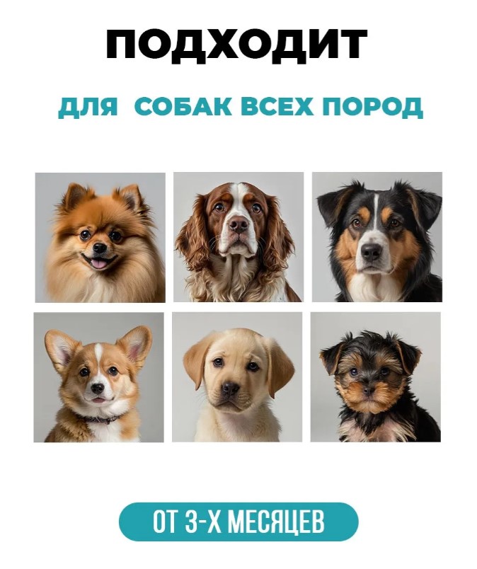 Шампунь для собак всех пород, нейтрализатор запахов "Spets"