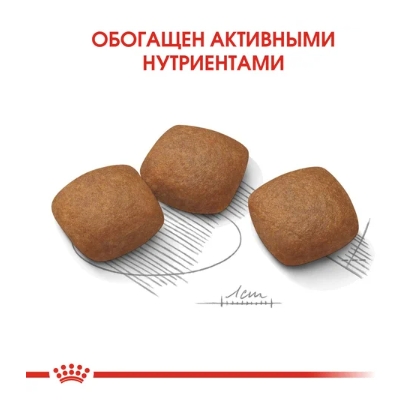 Каталог Сухой корм для собак Royal Canin Maxi Joint для собак