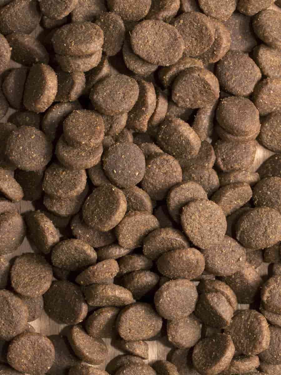 Сухой рацион для собак ProBalance Dog Gourmet Diet Beef & Rabbit (говядина, кролик)