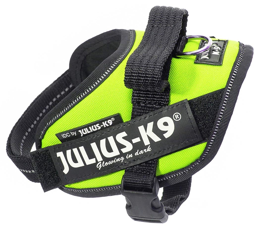 Шлейка для собак Julius-K9 IDC Powerharness Mini зеленый неон