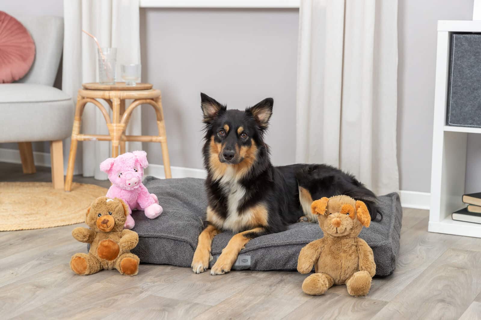 Игрушка для собак TRIXIE "Пес Энно" плюш