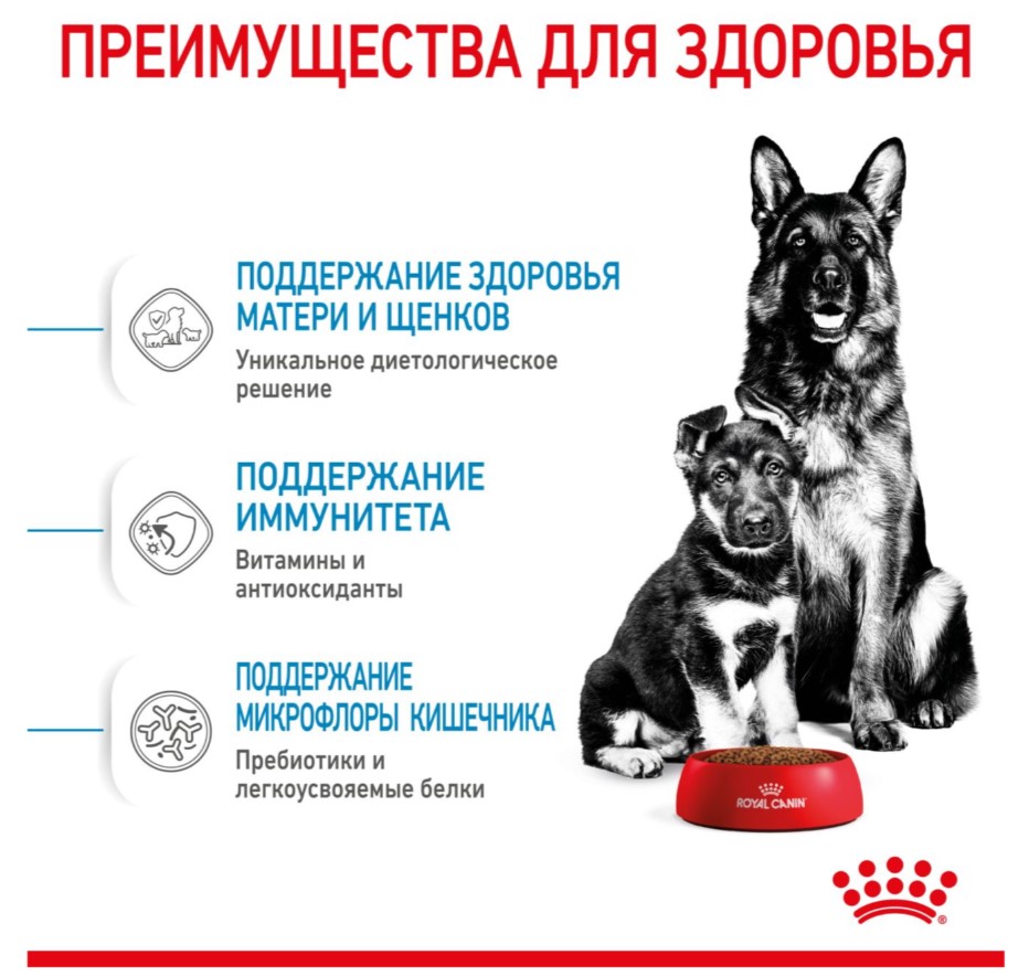 Каталог Сухой корм для щенков Royal Canin Maxi Starter для собак