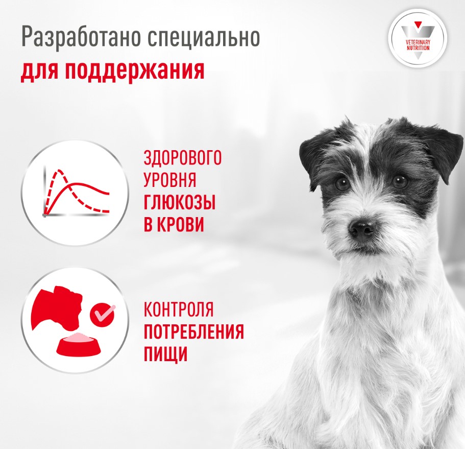 Сухой корм для собак мелких пород при диабете Royal Canin Glycobalance Small Dog