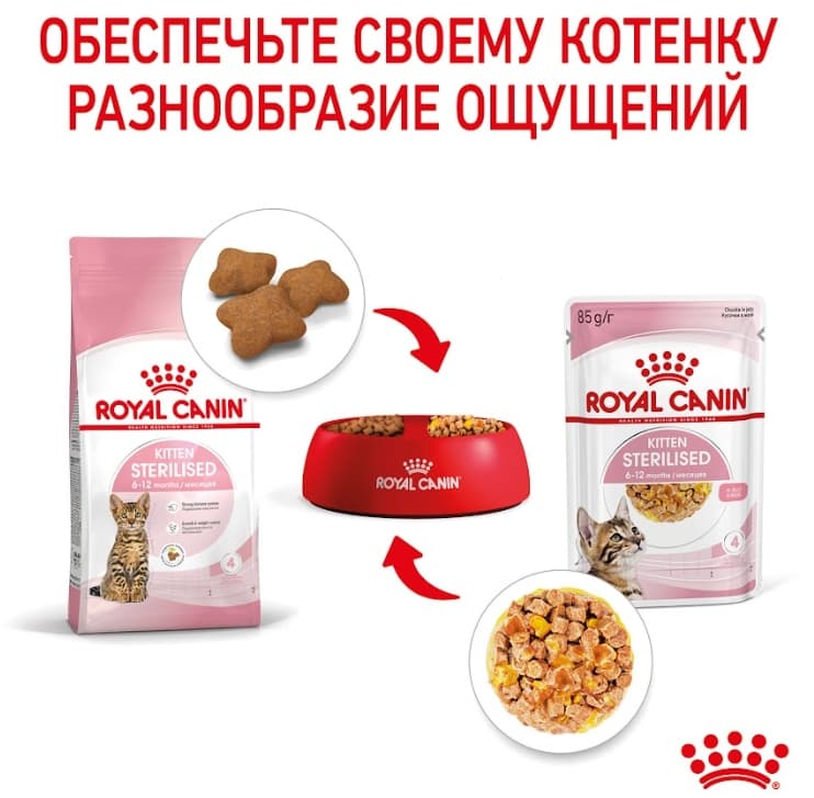 Влажный корм для котят Royal Canin Kitten Sterilized (в желе)