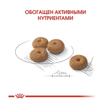 Сухой корм для собак Royal Canin Mini Sterilised