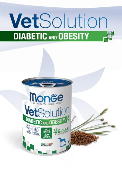 Консервированный корм для собак Monge VetSolution Diabetic and Obesity Dog